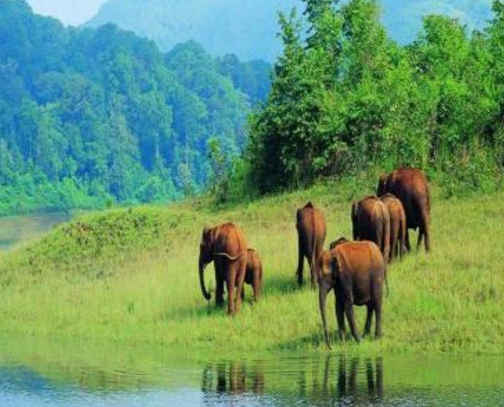Koyana Wildlife Sanctuary